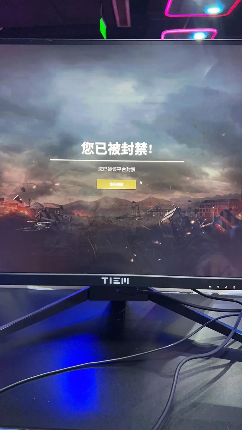吃鸡透视挂免费手机版不封号截图