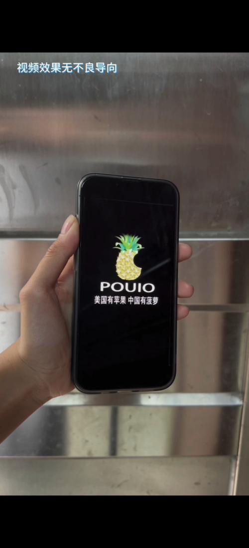 大菠萝福建官方人口安装到手机截图