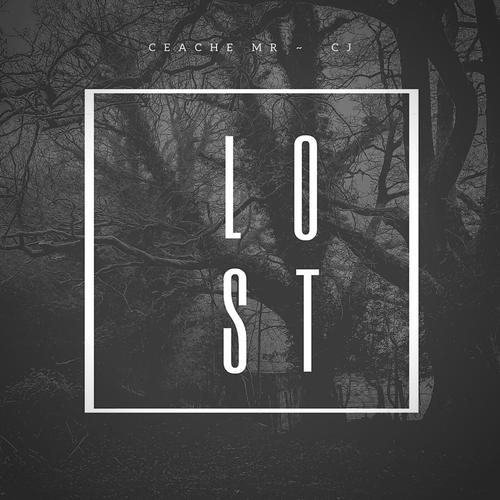 lost中文版截图
