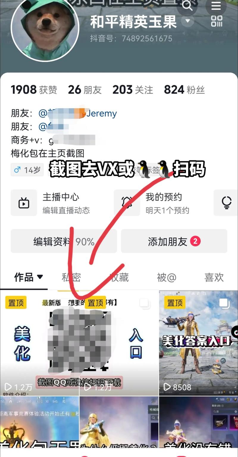 吃鸡美化包防封版