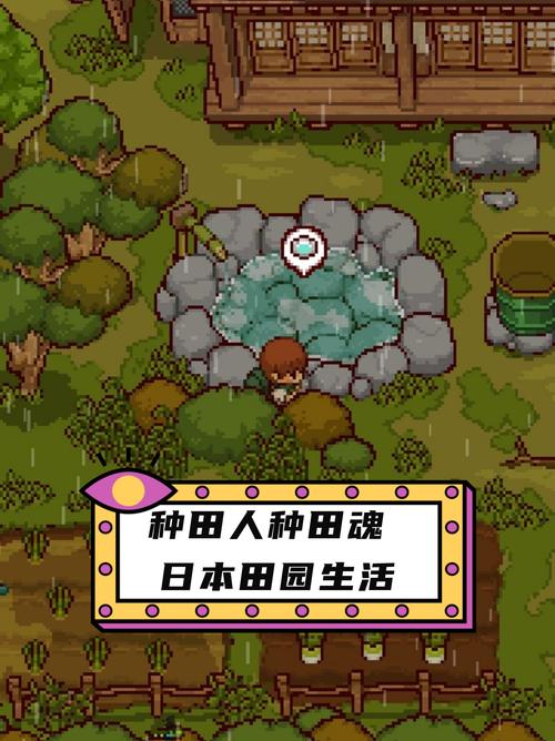 田舍的生活游戏截图