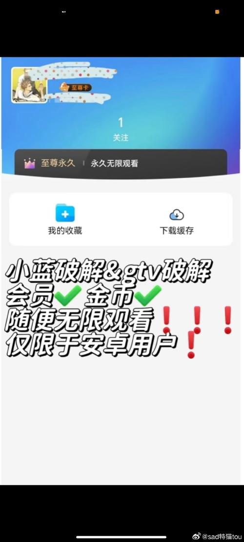 小蓝破解版卡密永久vip版截图