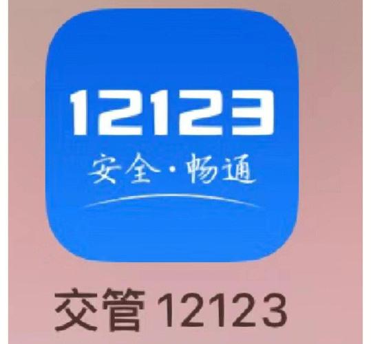 12123交管网安装图标