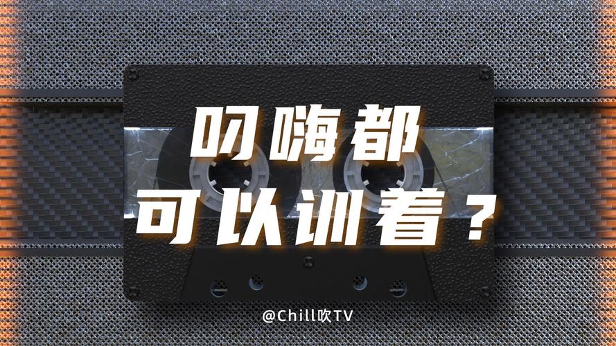 叼嗨视频视频大全免费纯净版截图