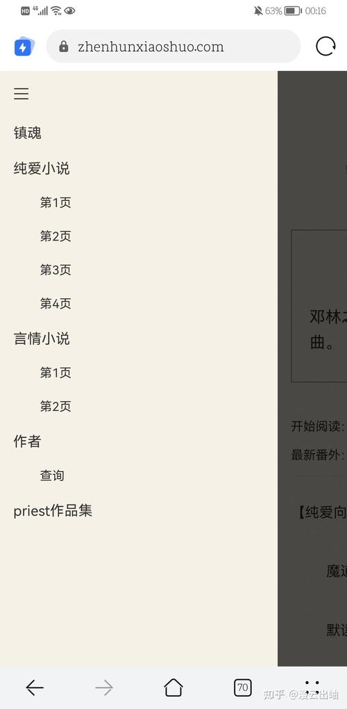 镇魂小说网怎么打不开了题主截图