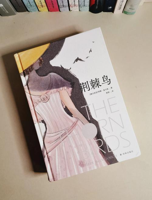荆棘鸟小说iphoneipad版纯净无广告版截图
