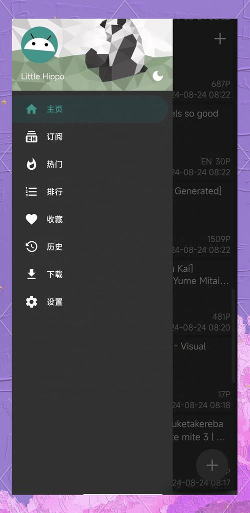 EHVIEWER黑色版E站17265图标