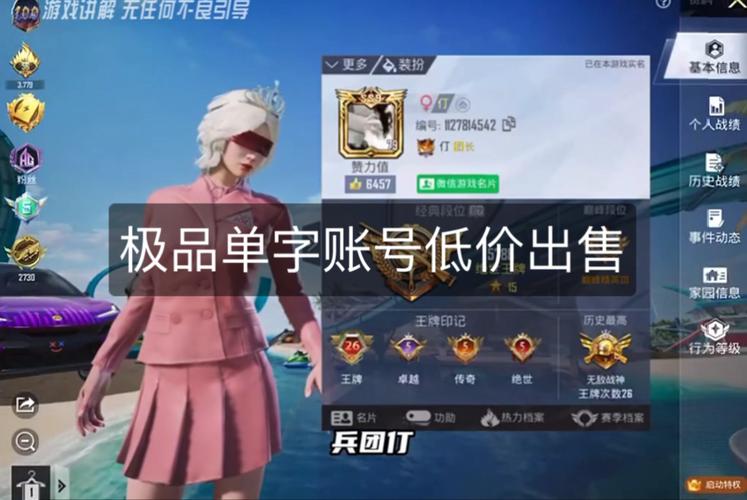 和平精英高仿单字id生成器截图