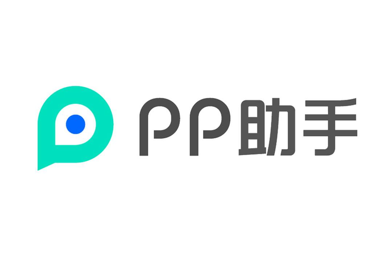 pp助手tv版截图