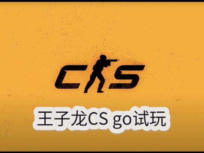 王子龙自制CSGO截图