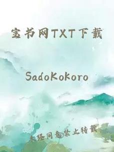 宝书网txt入口截图