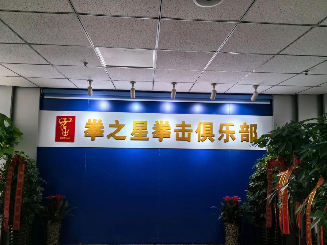 拳击之星最新版本截图