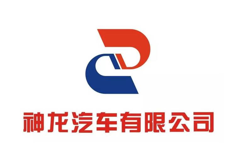 神龙直装无风险截图