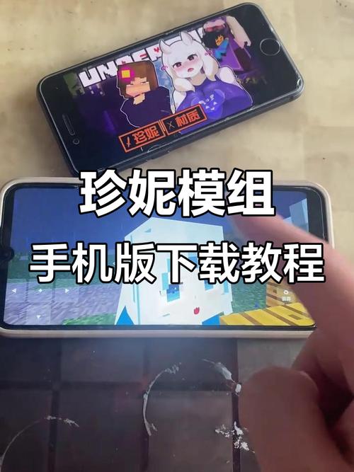 珍妮模组手机版一键安装截图