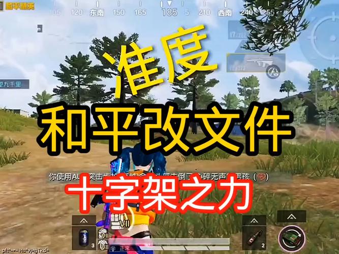 和平精英十字架无后座改文件无付费版截图
