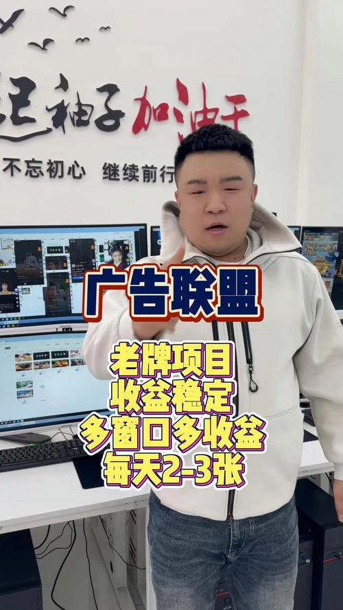 广告联盟自动挂机赚钱精产国品免费老版截图