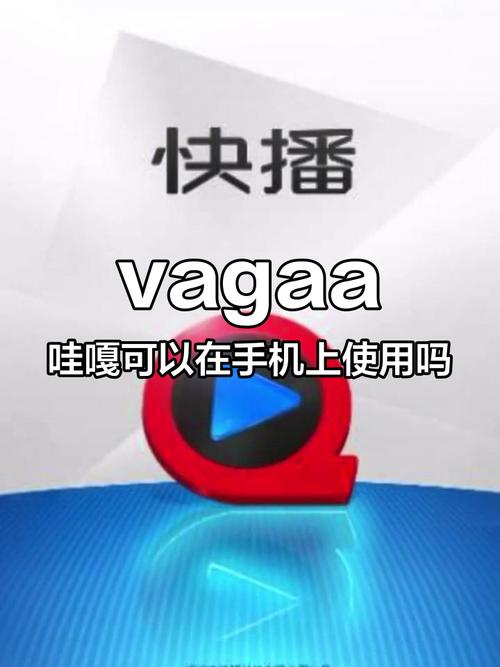 手机版哇嘎安装截图