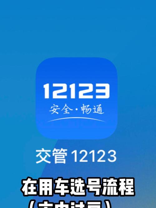 德州交管12123官网安卓版截图