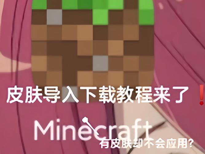 我的世界国际服导入皮肤图片截图