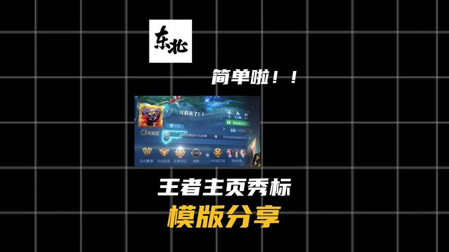 王者主页资料修改器截图