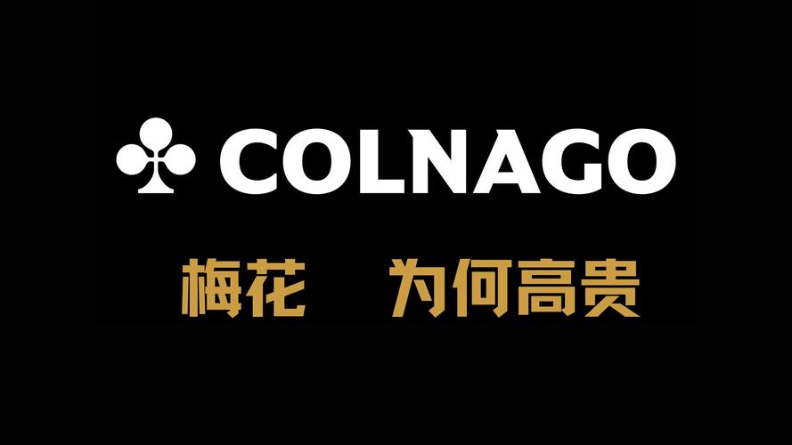 梅花视频一天看三遍的缩略图