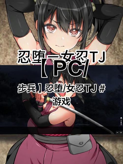 忍堕女忍汉化版截图