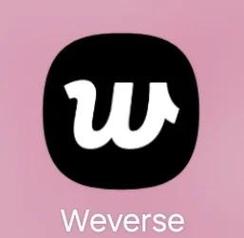 weverse黑色怎么更新男人版截图
