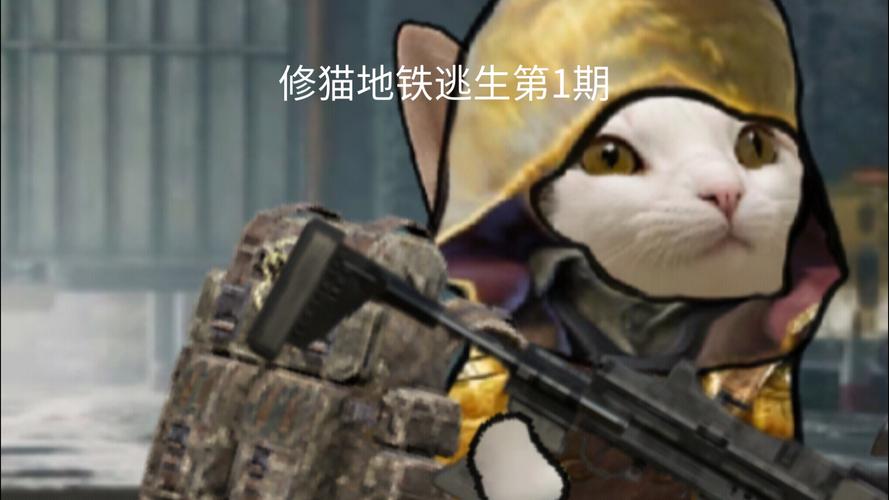 喵喵地铁逃生无限金币版截图