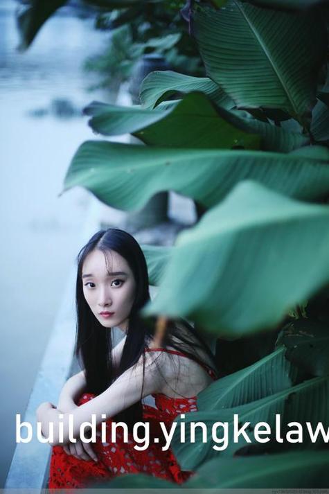 木叶培训师汉化版破解截图