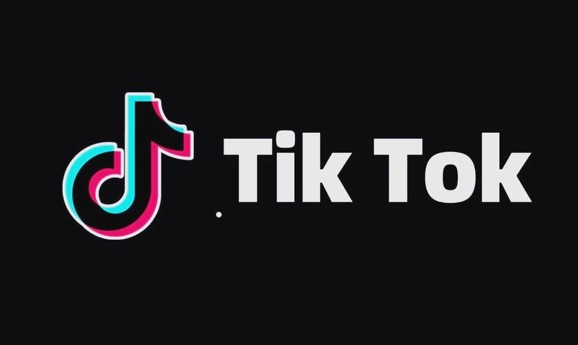 国际版tiktok官网版截图