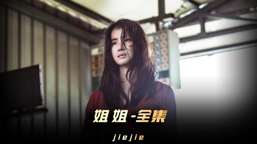 姐姐高清在线观看免费韩剧截图