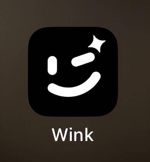 Wink破解版截图