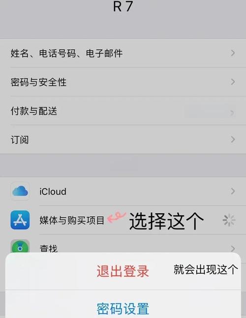 网吧模拟器怎么退出登陆账号啊苹果图标