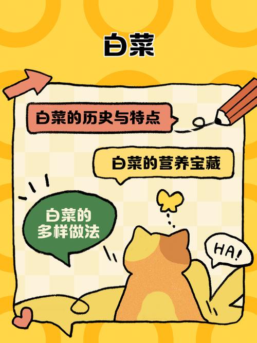 白菜阅读理解及答案截图