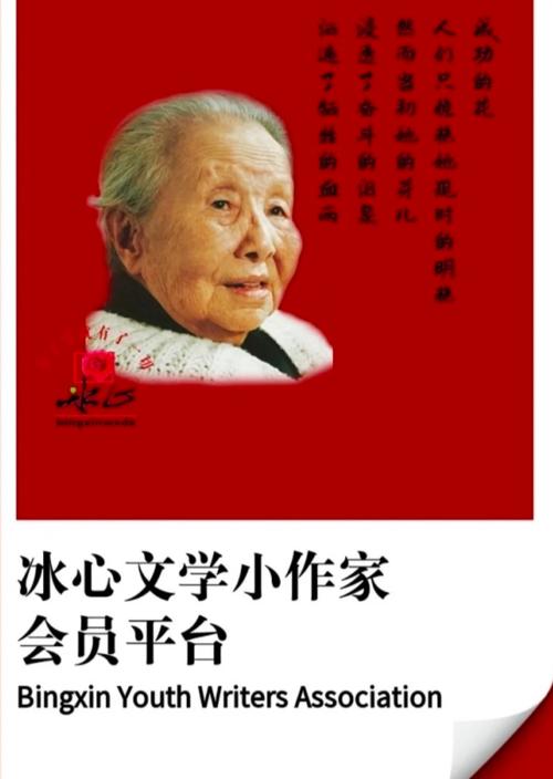 冰心框架截图