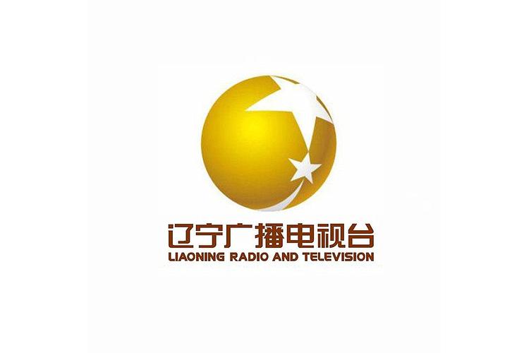 辽宁电视台官网截图