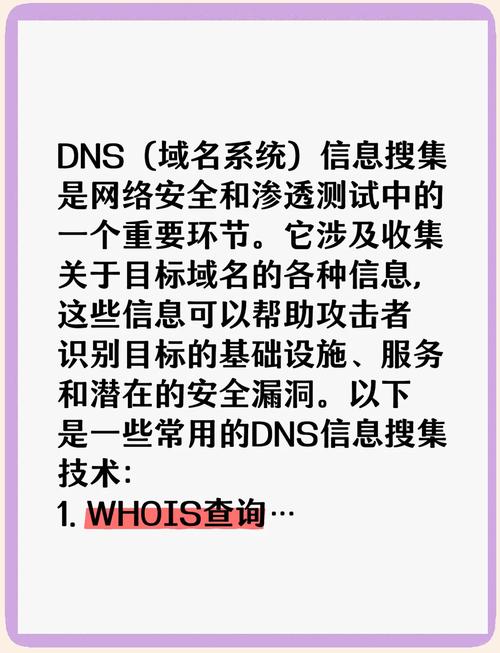 百度dns最新版本更新内容汇总截图