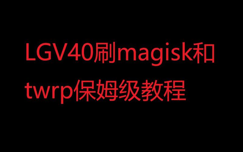 自动刷视频挂机脚本黑色老版截图