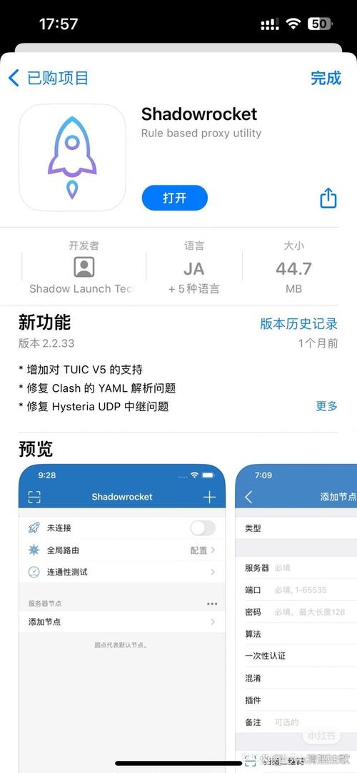 火箭加速器破解无限版破解无限配额截图