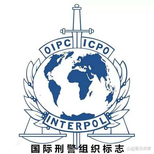 举报枪支需要哪些证据截图