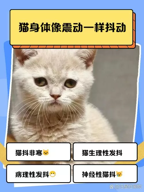 猫咪身体突然抖一下子图标