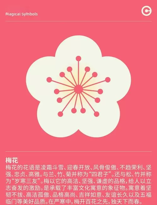 梅花视频旧版每天看缩略图
