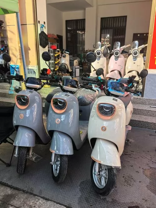 寨鸽电动车排名第几截图