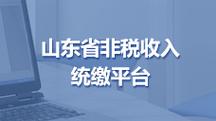 山东非税统缴费系统截图