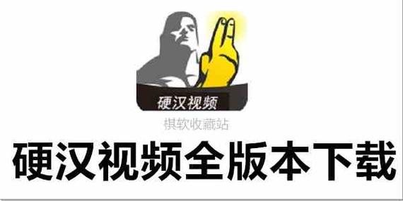 硬汉视频图标