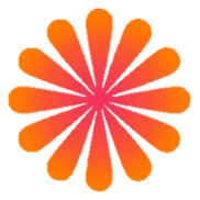 菊花影视缩略图