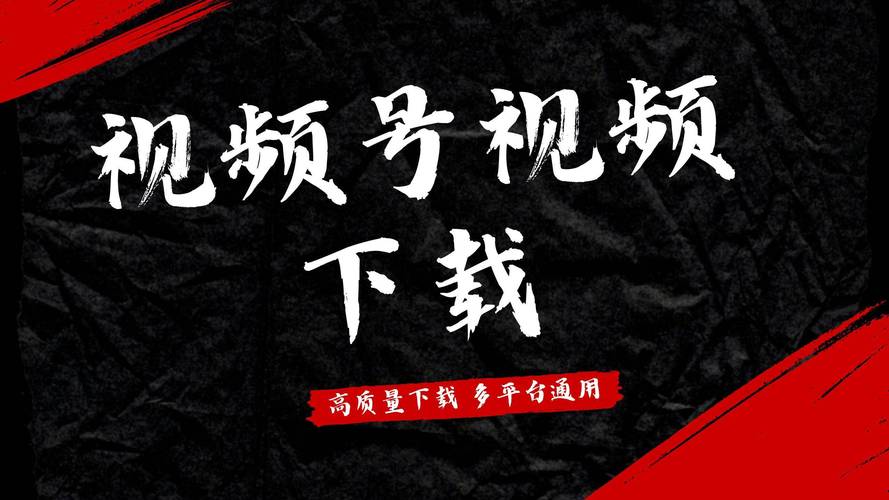 99视频在线截图