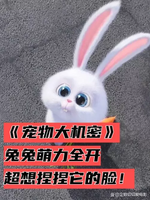 兔兔电影网手机版下载截图