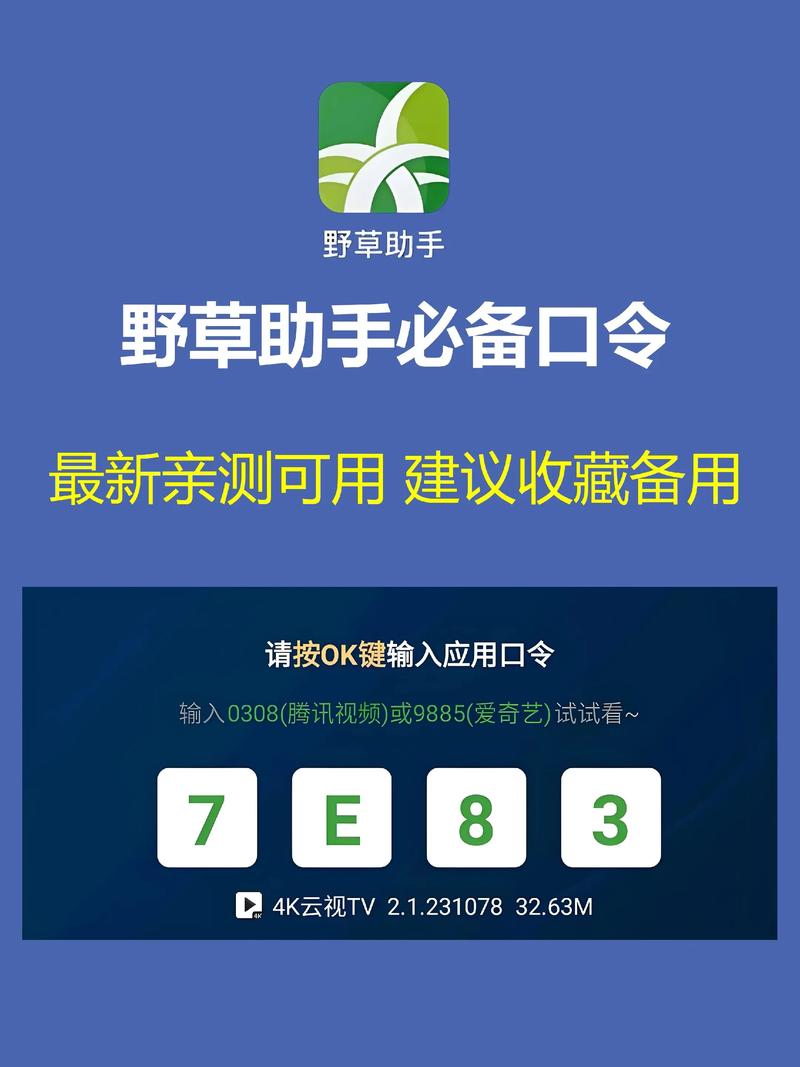 野草助手Netflix口令截图