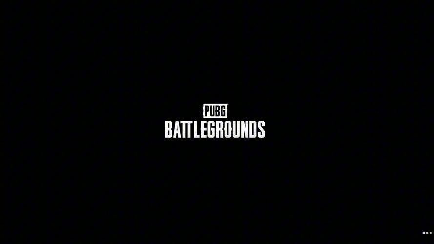 PUBG莫名跳回桌面污版截图
